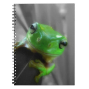 Shiny Green Frog Notebook