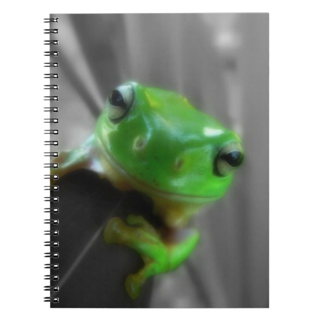 Shiny Green Frog Notebook (Front)