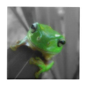 Shiny Green Frog Tile