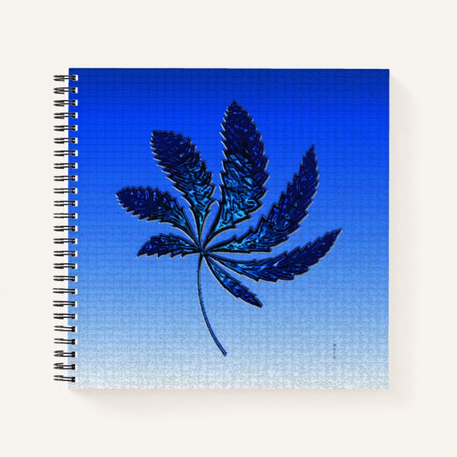 Shiny N Blue..... Notebook (Front)