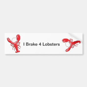 Shiny Red Lobster Bumper Sticker