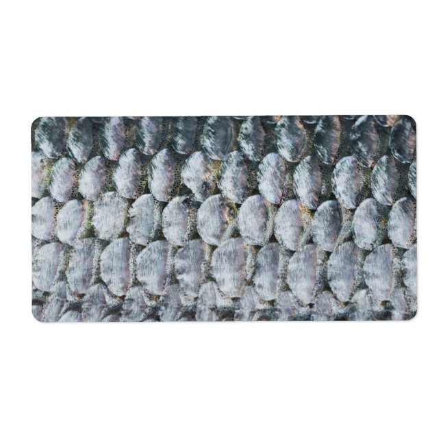 Shiny Salmon Scales (Front)