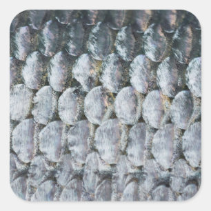Shiny Salmon Scales Square Sticker