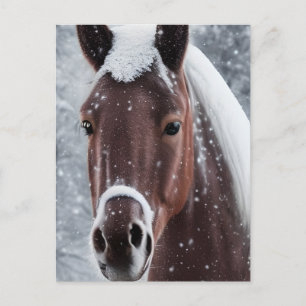 Shiny Smooth Glass Look for Horse Holiday Postcard