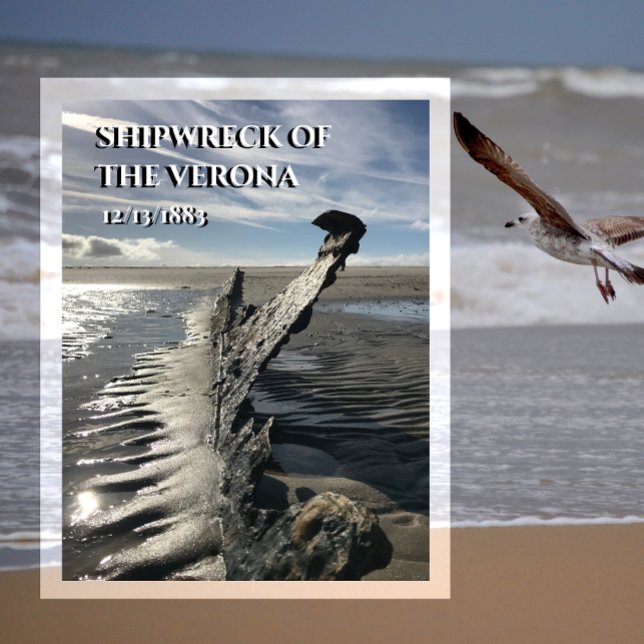 Shipwreck of Verona Spiekeroog Island, East Frisia Postcard (Creator Uploaded)
