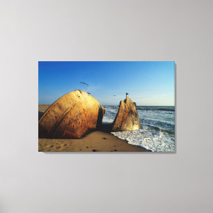 Shipwreck On Beach, Skeleton Coast, Namibia Canvas Print