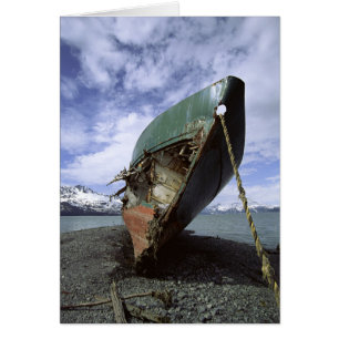 Shipwreck On Shore