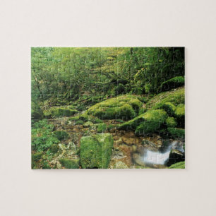Shiratani Unsuikyo, Yakushima, Kagoshima, Japan Jigsaw Puzzle