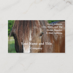 shire business card