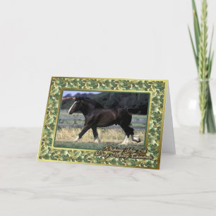 Shire Draught   Horse Blank Christmas Card