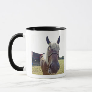 SHIRE HORSE IN SUNLIGHT WITH NOSE UP TO CAMERA MUG