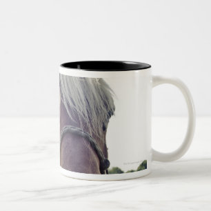 SHIRE HORSE IN SUNLIGHT WITH NOSE UP TO CAMERA Two-Tone COFFEE MUG