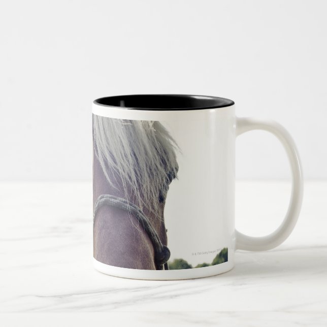 SHIRE HORSE IN SUNLIGHT WITH NOSE UP TO CAMERA Two-Tone COFFEE MUG (Right)