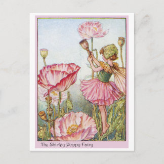 Shirley Poppy  Fairy Postcard
