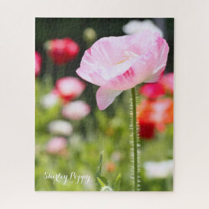 Shirley Poppy [Jigsaw puzzle: 520P] ジグソーパズル Jigsaw Puzzle