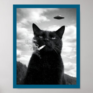 Shirt Cat Ufo Meme Selfie Alien Poster