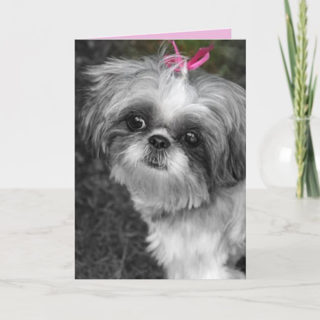 Shitzu Girl Greeting Card (Front)
