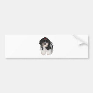 Shitzu Shih Tzu Puppy Dogs Bumper Sticker