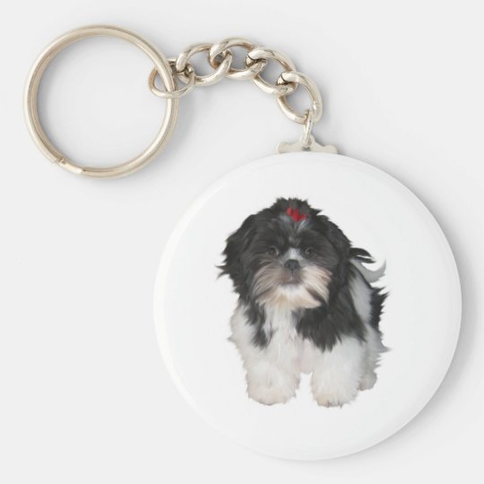 shih tzu ring