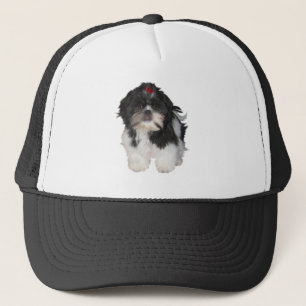 Shitzu Shih Tzu Puppy Dogs Trucker Hat