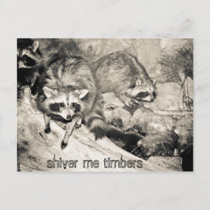 shiver me timbers postcard
