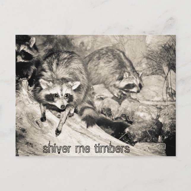 shiver me timbers postcard (Front)