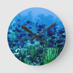 Shoal of Blue Discus Fish Round Clock