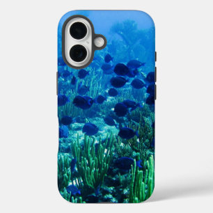 Shoal of Blue Discus Fish Underwater Photo iPhone 16 Case