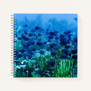 Shoal of Blue Discus Fish Underwater Photo Notebook