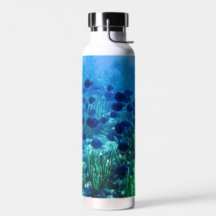 Shoal of Blue Discus Fish Underwater Photo Water Bottle