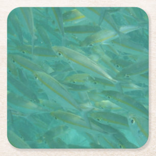 Shoal of Fish Underwater Photo Square Paper Coaster