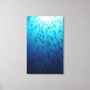Shoal of fishes canvas print