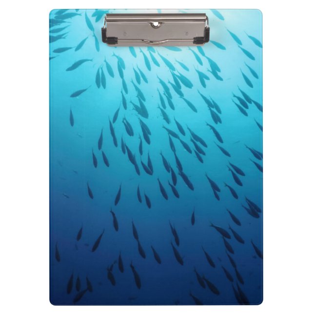 Shoal of fishes clipboard (Front)