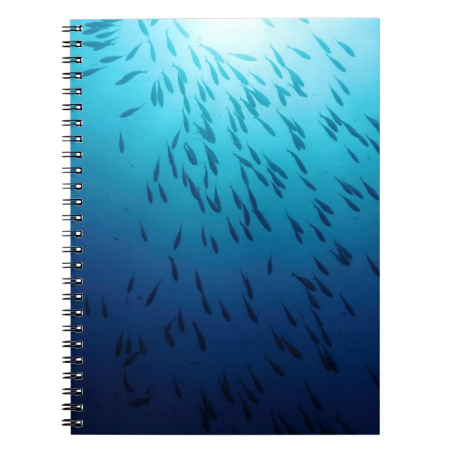 Shoal of fishes notebook (Front)