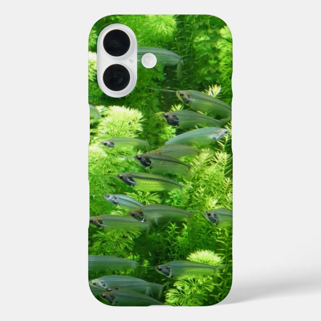 Shoal of Transparent Silver Fish Case-Mate iPhone Case (Back)