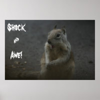 Shock& Awe!