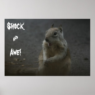 Shock& Awe! Poster