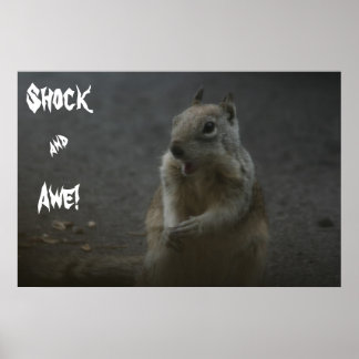 Shock& Awe! Poster
