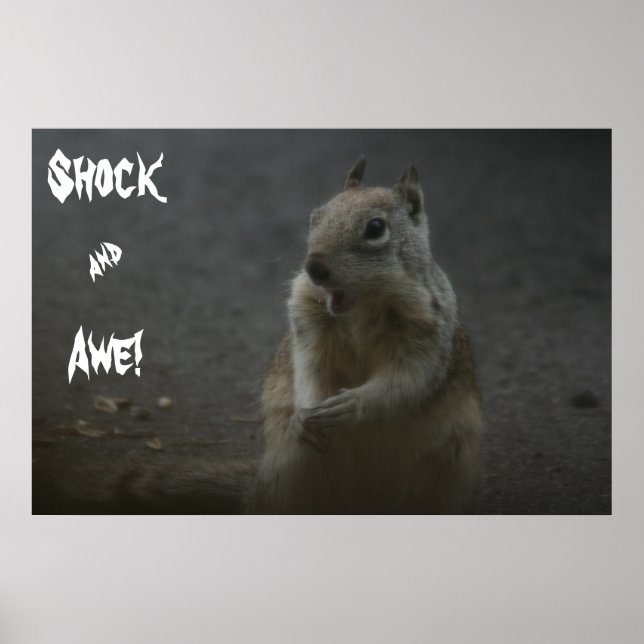 Shock& Awe! Poster (Front)