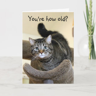 Shocked Cat Birthday Wishes Card