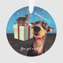 Shocked Doberman Christmas