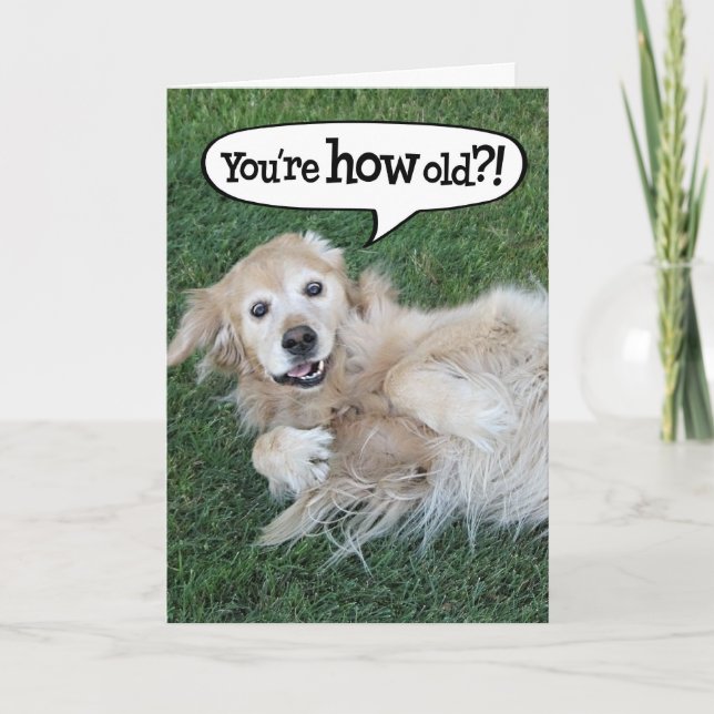 Shocked Golden Retriever Birthday Card (Front)