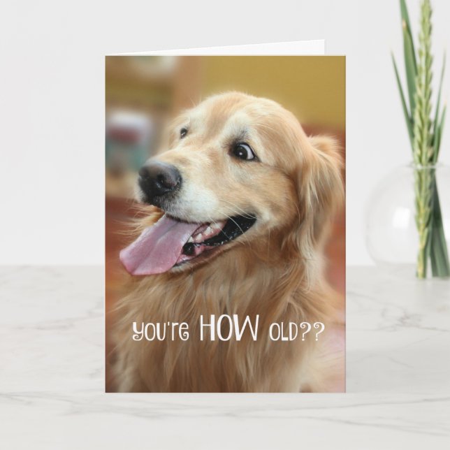Shocked Golden Retriever You're How Old Birthday Card (Front)