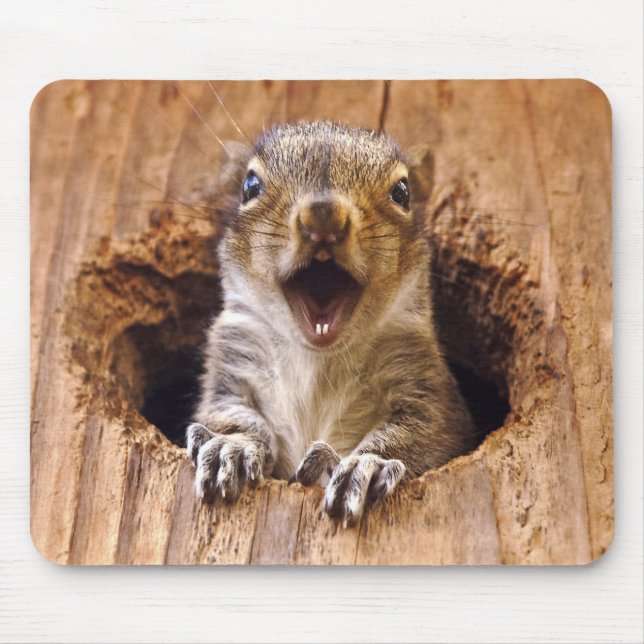 Shocked Squirrel Mouse Mat (Front)