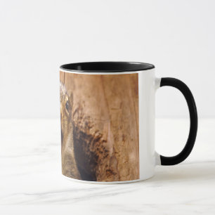 Shocked Squirrel Mug