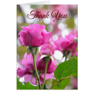Shocking Pink Beautiful Rose Thank You Card