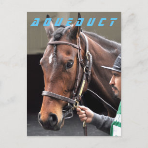 Shoe Loves Shoe - Winner Postcard