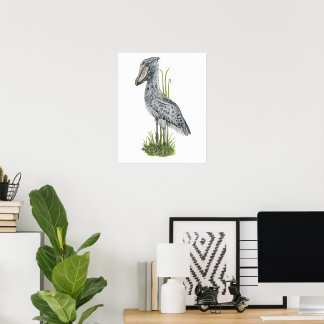 Shoebill Bird Art Print