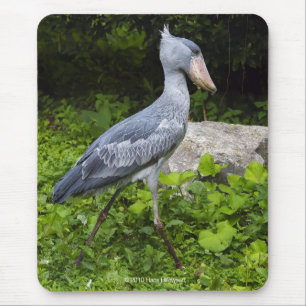Shoebill Mouse Mat