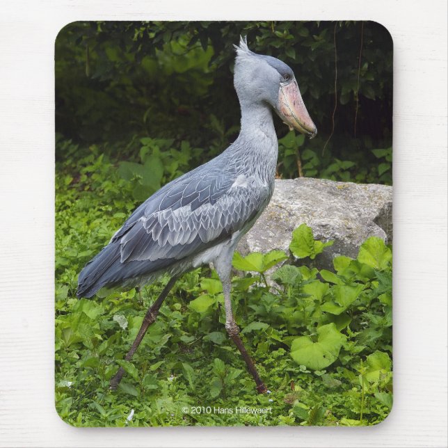 Shoebill Mouse Mat (Front)
